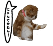 kinaco in my home2 sticker #13809445