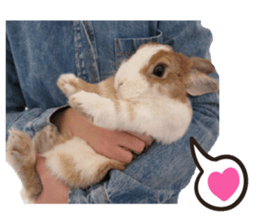 A-bu 2 sticker #13809815