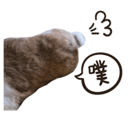 A-bu 2 sticker #13809822