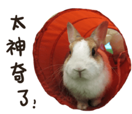 A-bu 2 sticker #13809823