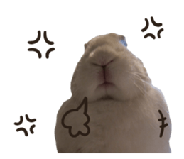 A-bu 2 sticker #13809826