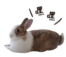 A-bu 2 sticker #13809829