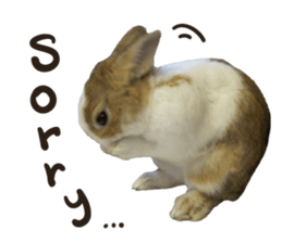 A-bu 2 sticker #13809833