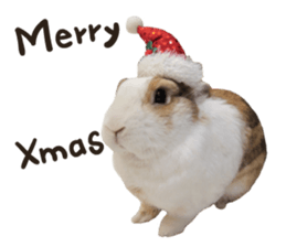 A-bu 2 sticker #13809835