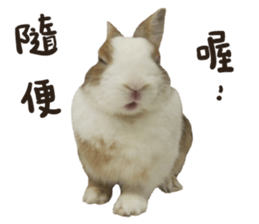 A-bu 2 sticker #13809836