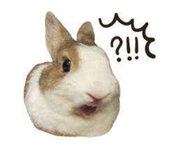 A-bu 2 sticker #13809837