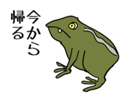 mischiefRaccoon sticker #13810448