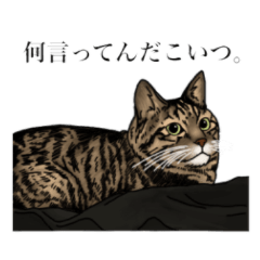Ten sticker