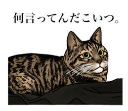 46buta