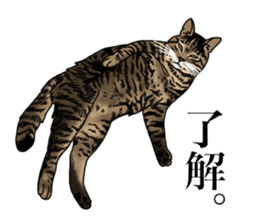 Ten sticker sticker #13810943