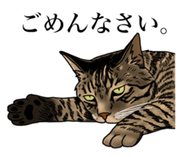 Ten sticker sticker #13810945