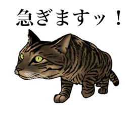 Ten sticker sticker #13810946