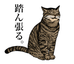 Ten sticker sticker #13810948