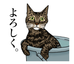 Ten sticker sticker #13810949