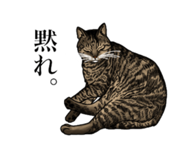 Ten sticker sticker #13810950