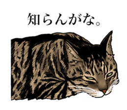 Ten sticker sticker #13810952