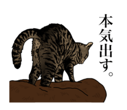 Ten sticker sticker #13810955