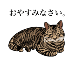 Ten sticker sticker #13810957