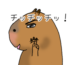 Capybara of everyday Sticker 2 sticker #13811249