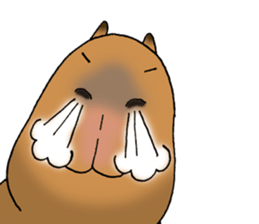 Capybara of everyday Sticker 2 sticker #13811264