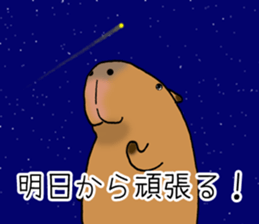 Capybara of everyday Sticker 2 sticker #13811266