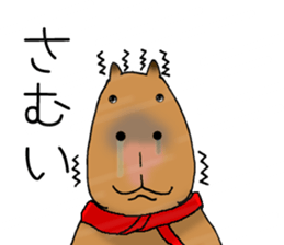 Capybara of everyday Sticker 2 sticker #13811271