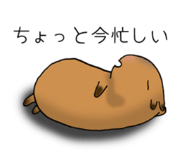 Capybara of everyday Sticker 2 sticker #13811274