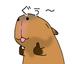 Capybara of everyday Sticker 2 sticker #13811278