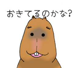 Capybara of everyday Sticker 2 sticker #13811282