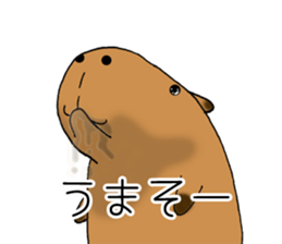 Capybara of everyday Sticker 2 sticker #13811283