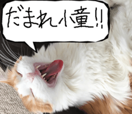 Instead tell the cat part8 sticker #13811840