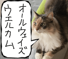 Instead tell the cat part8 sticker #13811844