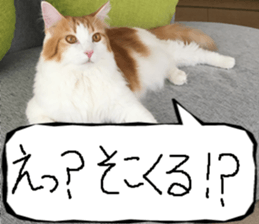 Instead tell the cat part8 sticker #13811846