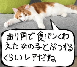 Instead tell the cat part8 sticker #13811849