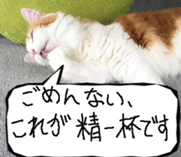 Instead tell the cat part8 sticker #13811850