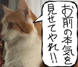 Instead tell the cat part8 sticker #13811856