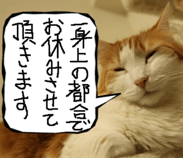 Instead tell the cat part8 sticker #13811869