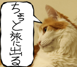 Instead tell the cat part8 sticker #13811872