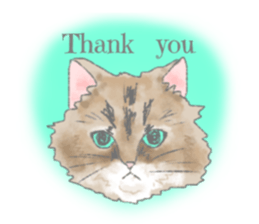 Cute long-haired cats sticker #13812127