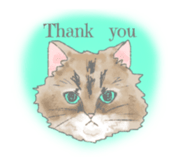 Cute long-haired cats sticker #13812127