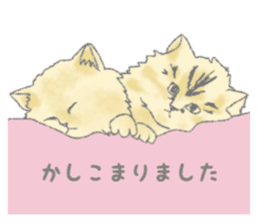 Cute long-haired cats sticker #13812128