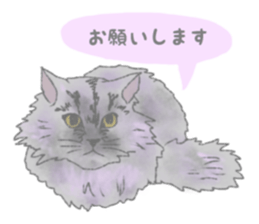 Cute long-haired cats sticker #13812131