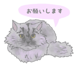 Cute long-haired cats sticker #13812131