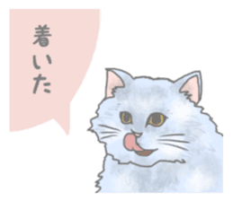 Cute long-haired cats sticker #13812139