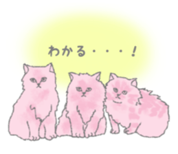 Cute long-haired cats sticker #13812144