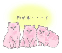 Cute long-haired cats sticker #13812144
