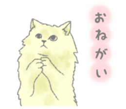 Cute long-haired cats sticker #13812149