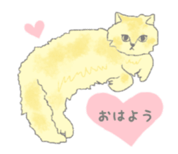 Cute long-haired cats sticker #13812164