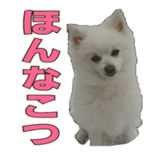 Chikugo word (FUKUOKA) sticker #13814198