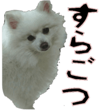 Chikugo word (FUKUOKA) sticker #13814199